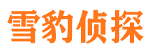 天宁侦探公司